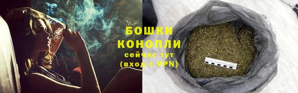 молекула духа Нязепетровск