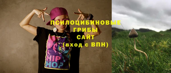 ПСИЛОЦИБИНОВЫЕ ГРИБЫ Нягань