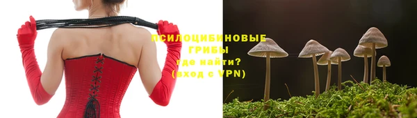 молекула духа Нязепетровск