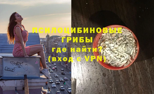 молекула духа Нязепетровск