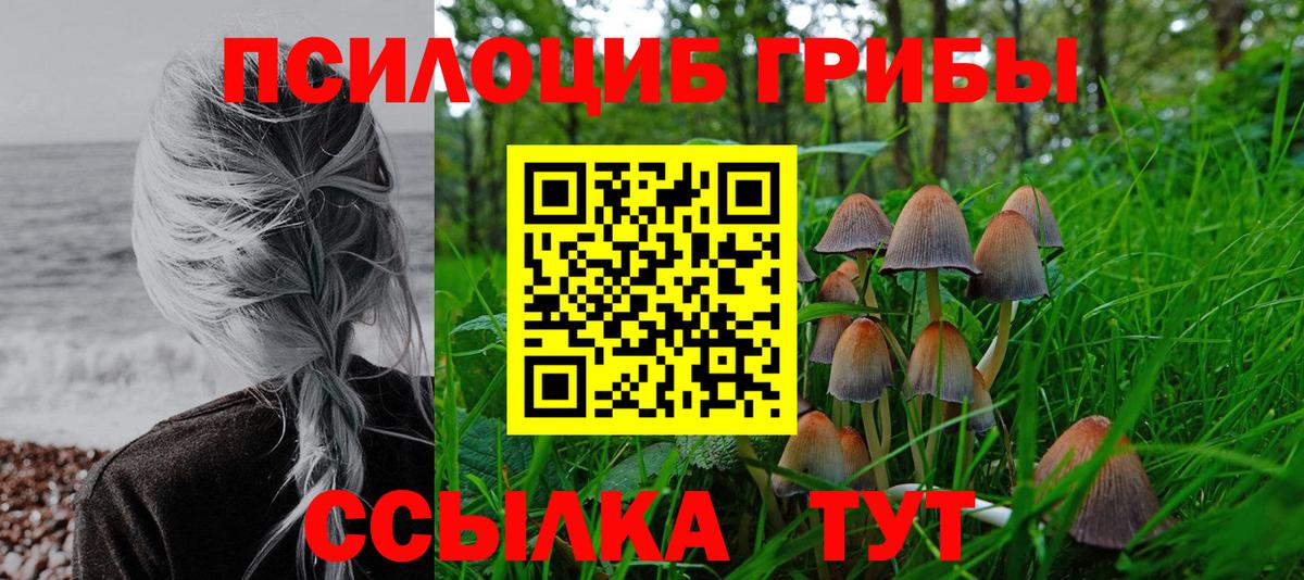 Псилоцибиновые грибы MAGIC MUSHROOMS Торжок