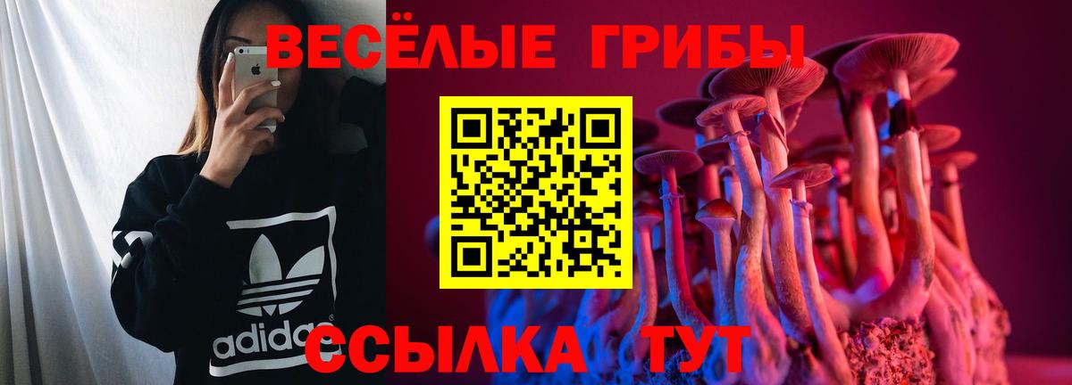 где купить наркоту  Вход с VPN  Торжок  Псилоцибиновые грибы ЛСД 
